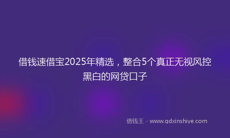 借钱速借宝2025年精选，整合5个真正无视风控黑白的网贷口子