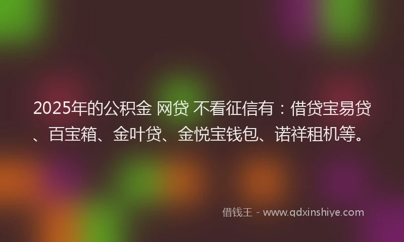 2025年的公积金 网贷 不看征信有：借贷宝易贷、百宝箱、金叶贷、金悦宝钱包、诺祥租机等。
