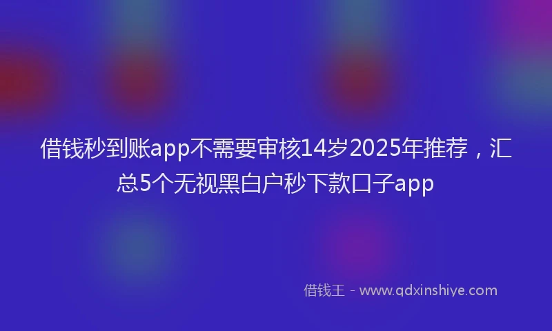 借钱秒到账app不需要审核14岁2025年推荐，汇总5个无视黑白户秒下款口子app