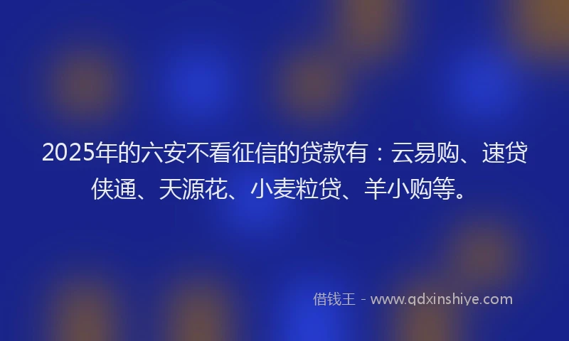 2025年的六安不看征信的贷款有：云易购、速贷侠通、天源花、小麦粒贷、羊小购等。