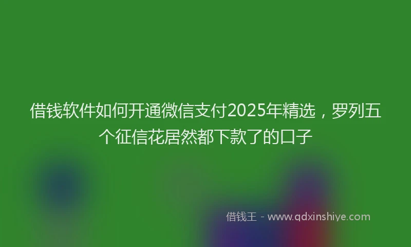 借钱软件如何开通微信支付2025年精选，罗列五个征信花居然都下款了的口子