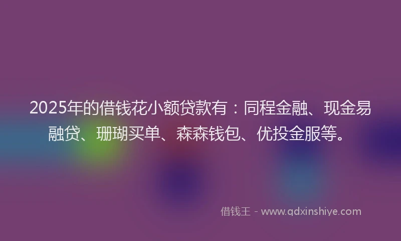 2025年的借钱花小额贷款有：同程金融、现金易融贷、珊瑚买单、森森钱包、优投金服等。