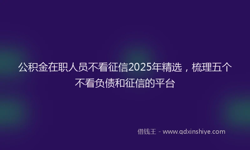 公积金在职人员不看征信2025年精选，梳理五个不看负债和征信的平台