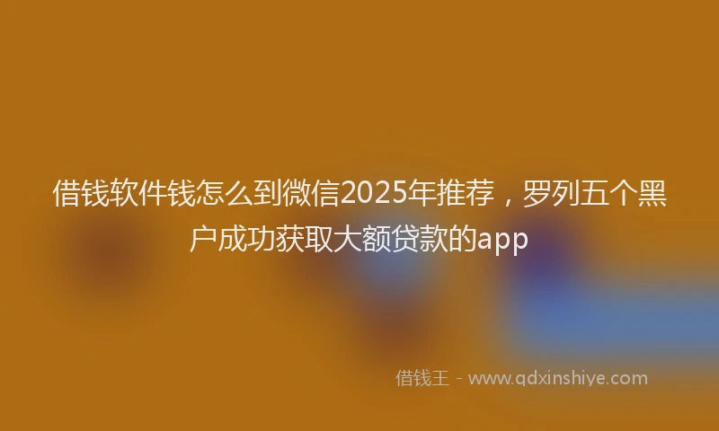 借钱软件钱怎么到微信2025年推荐，罗列五个黑户成功获取大额贷款的app