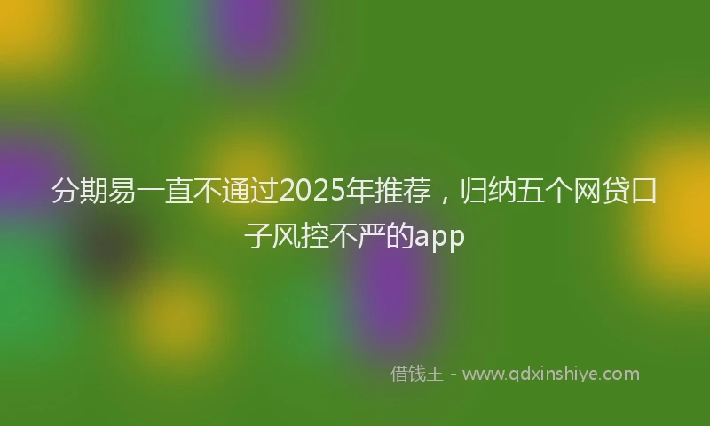 分期易一直不通过2025年推荐，归纳五个网贷口子风控不严的app