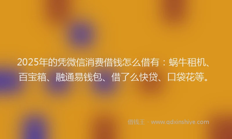 2025年的凭微信消费借钱怎么借有：蜗牛租机、百宝箱、融通易钱包、借了么快贷、口袋花等。