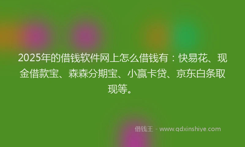 2025年的借钱软件网上怎么借钱有：快易花、现金借款宝、森森分期宝、小赢卡贷、京东白条取现等。