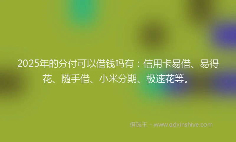 2025年的分付可以借钱吗有：信用卡易借、易得花、随手借、小米分期、极速花等。