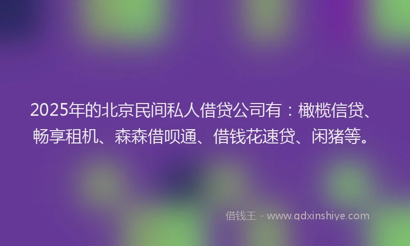 2025年的北京民间私人借贷公司有：橄榄信贷、畅享租机、森森借呗通、借钱花速贷、闲猪等。