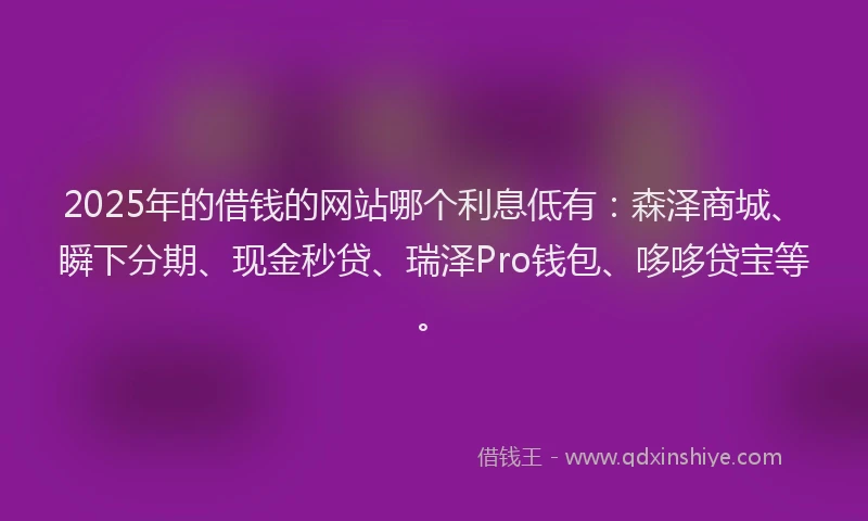 2025年的借钱的网站哪个利息低有：森泽商城、瞬下分期、现金秒贷、瑞泽Pro钱包、哆哆贷宝等。