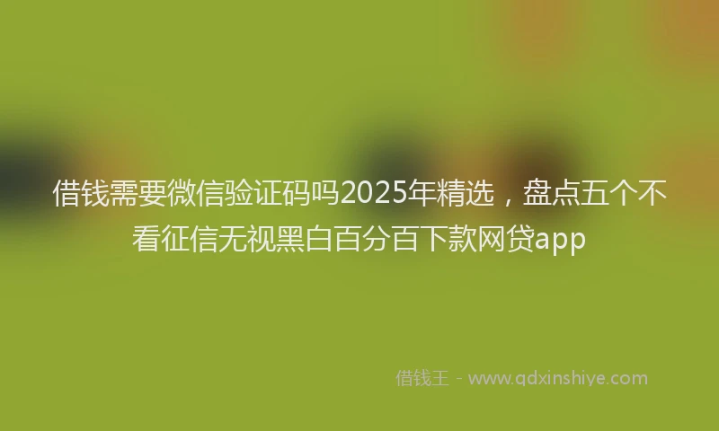 借钱需要微信验证码吗2025年精选，盘点五个不看征信无视黑白百分百下款网贷app