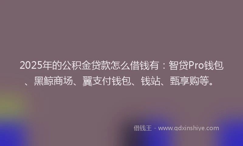 2025年的公积金贷款怎么借钱有：智贷Pro钱包、黑鲸商场、翼支付钱包、钱站、甄享购等。