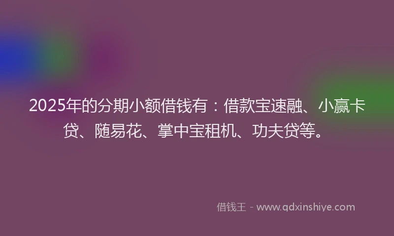 2025年的分期小额借钱有：借款宝速融、小赢卡贷、随易花、掌中宝租机、功夫贷等。