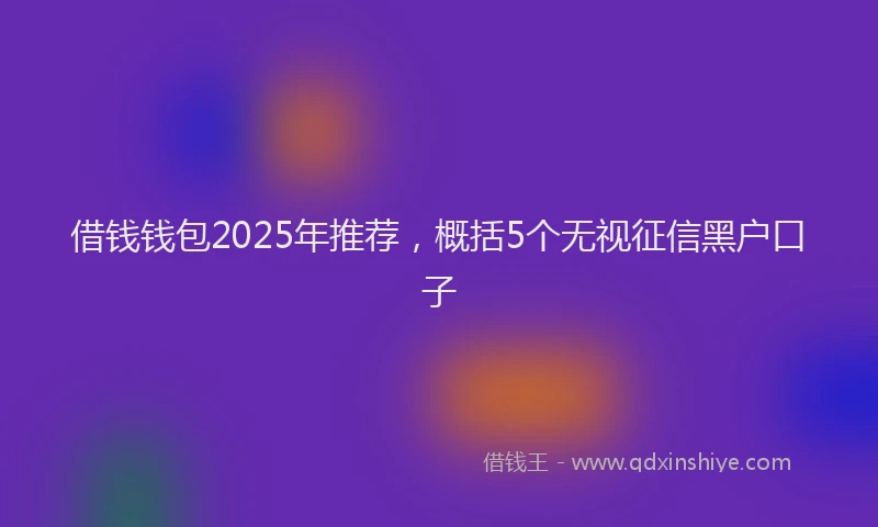 借钱钱包2025年推荐，概括5个无视征信黑户口子