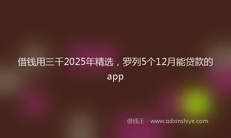 借钱用三千2025年精选，罗列5个12月能贷款的app