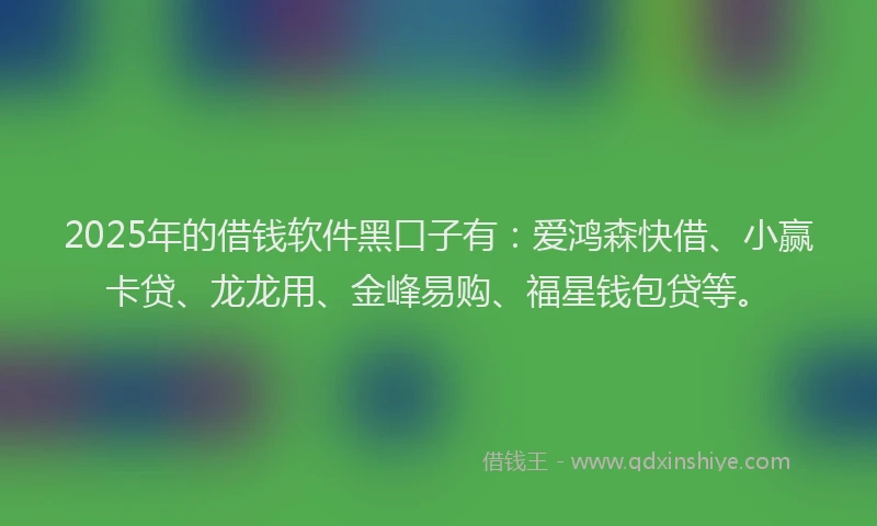 2025年的借钱软件黑口子有：爱鸿森快借、小赢卡贷、龙龙用、金峰易购、福星钱包贷等。