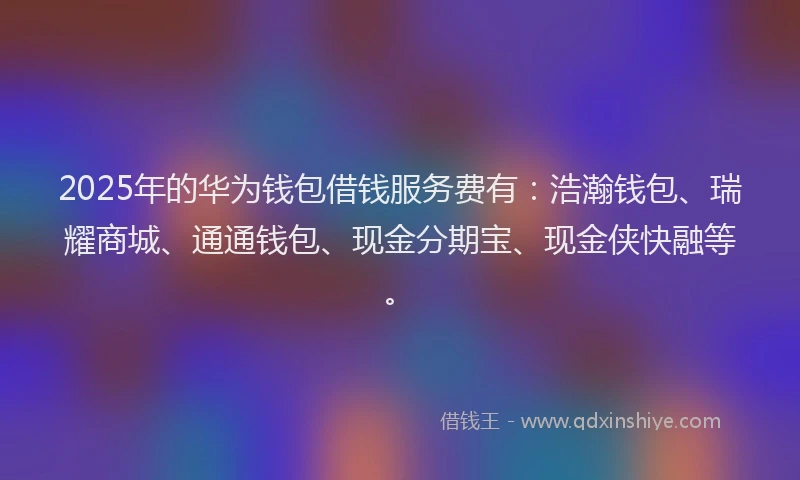 2025年的华为钱包借钱服务费有：浩瀚钱包、瑞耀商城、通通钱包、现金分期宝、现金侠快融等。