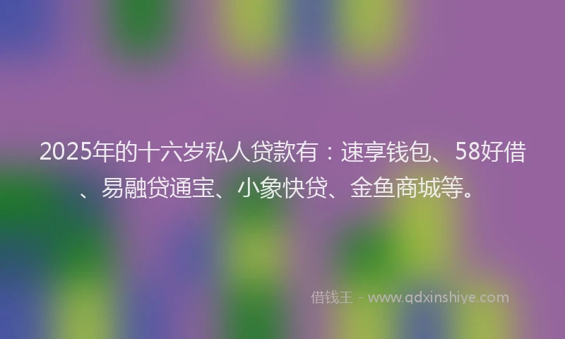 2025年的十六岁私人贷款有：速享钱包、58好借、易融贷通宝、小象快贷、金鱼商城等。