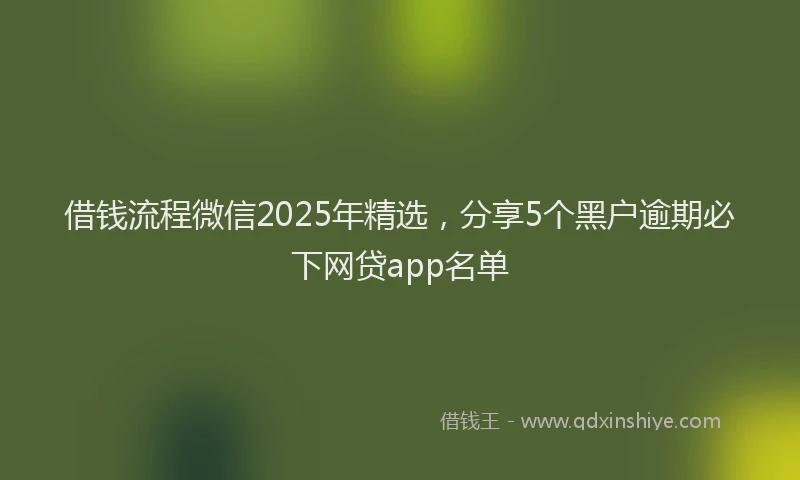借钱流程微信2025年精选，分享5个黑户逾期必下网贷app名单
