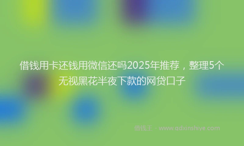 借钱用卡还钱用微信还吗2025年推荐，整理5个无视黑花半夜下款的网贷口子