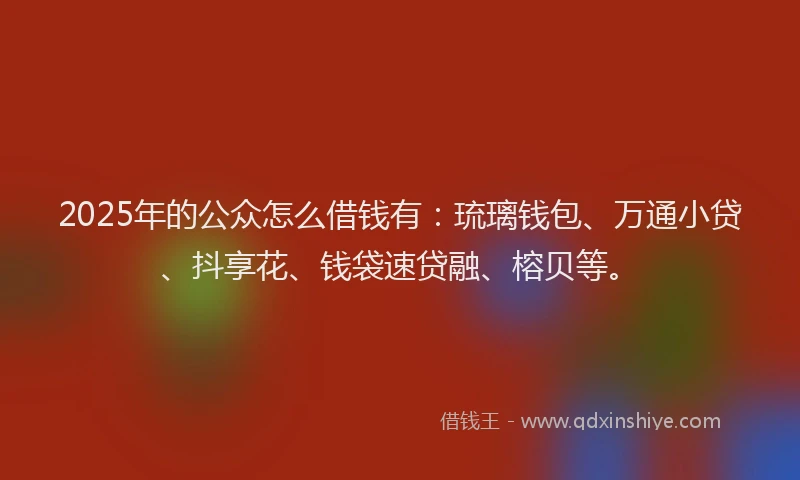 2025年的公众怎么借钱有：琉璃钱包、万通小贷、抖享花、钱袋速贷融、榕贝等。
