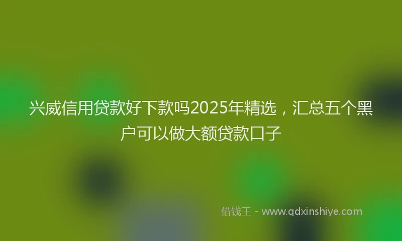 兴威信用贷款好下款吗2025年精选，汇总五个黑户可以做大额贷款口子