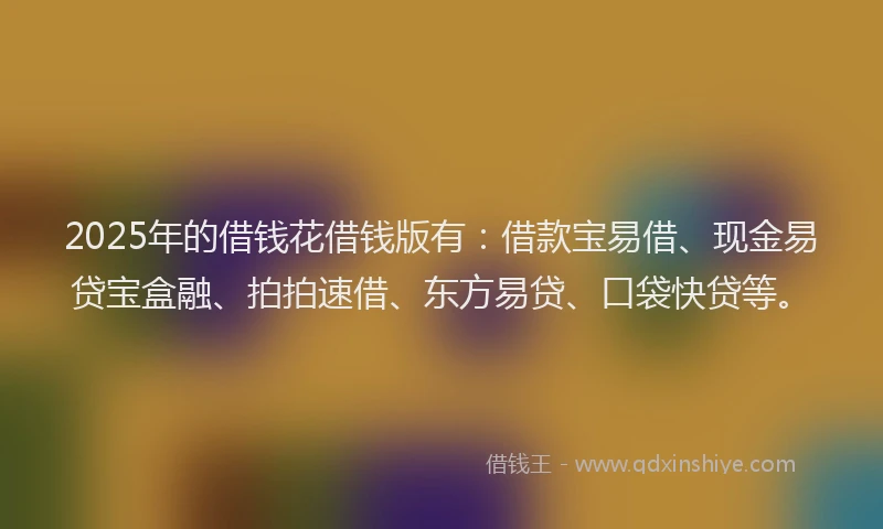 2025年的借钱花借钱版有：借款宝易借、现金易贷宝盒融、拍拍速借、东方易贷、口袋快贷等。