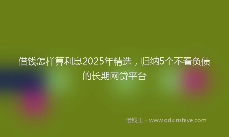 借钱怎样算利息2025年精选，归纳5个不看负债的长期网贷平台