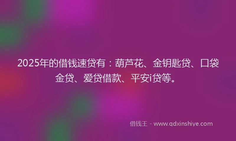 2025年的借钱速贷有：葫芦花、金钥匙贷、口袋金贷、爱贷借款、平安i贷等。