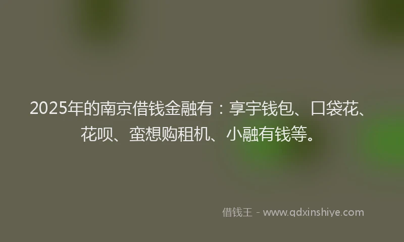 2025年的南京借钱金融有：享宇钱包、口袋花、花呗、蛮想购租机、小融有钱等。