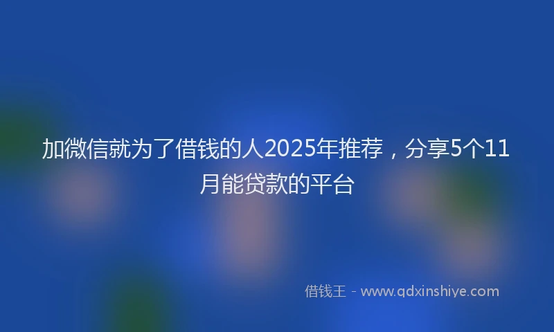 加微信就为了借钱的人2025年推荐，分享5个11月能贷款的平台