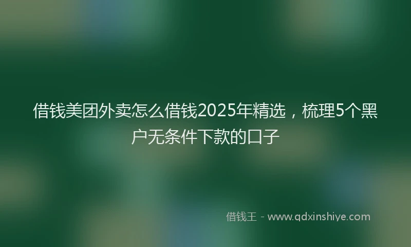 借钱美团外卖怎么借钱2025年精选，梳理5个黑户无条件下款的口子