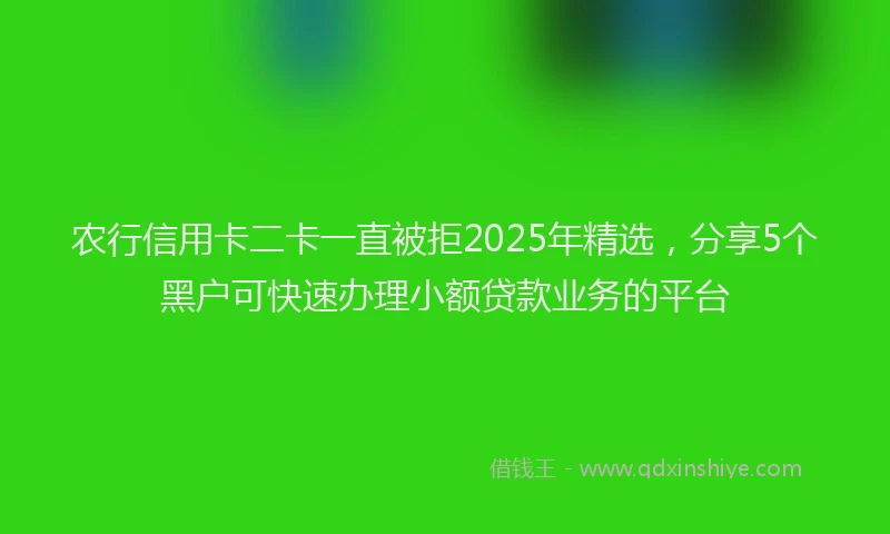 农行信用卡二卡一直被拒2025年精选，分享5个黑户可快速办理小额贷款业务的平台