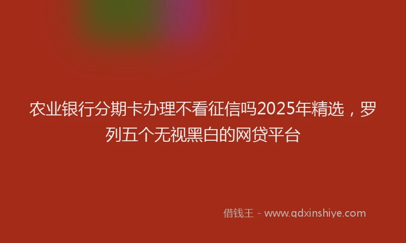 农业银行分期卡办理不看征信吗2025年精选，罗列五个无视黑白的网贷平台
