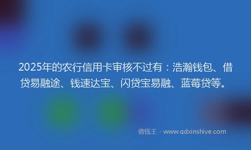 2025年的农行信用卡审核不过有：浩瀚钱包、借贷易融途、钱速达宝、闪贷宝易融、蓝莓贷等。