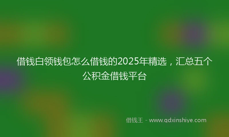 借钱白领钱包怎么借钱的2025年精选，汇总五个公积金借钱平台
