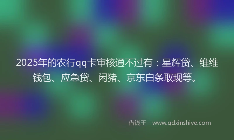 2025年的农行qq卡审核通不过有：星辉贷、维维钱包、应急贷、闲猪、京东白条取现等。