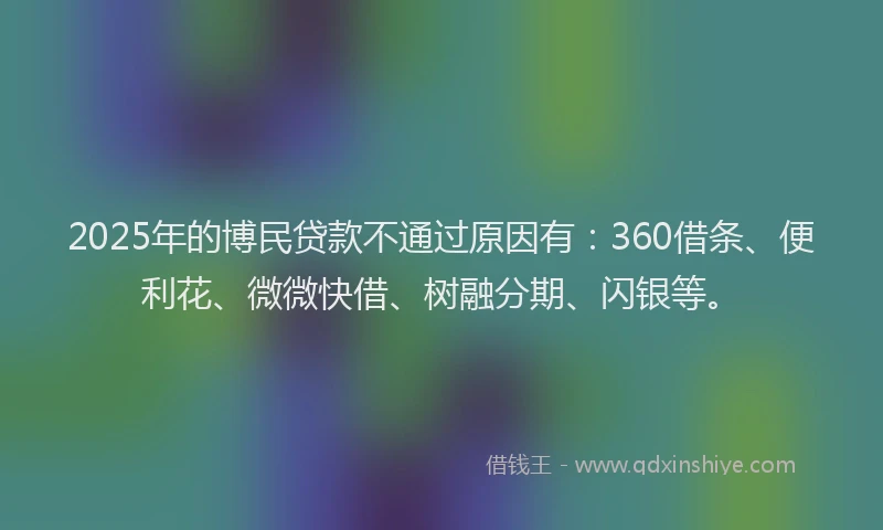 2025年的博民贷款不通过原因有：360借条、便利花、微微快借、树融分期、闪银等。