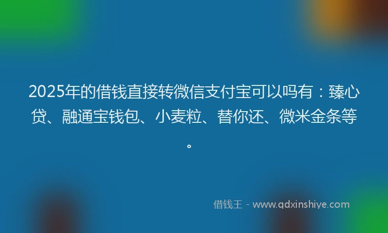 2025年的借钱直接转微信支付宝可以吗有：臻心贷、融通宝钱包、小麦粒、替你还、微米金条等。