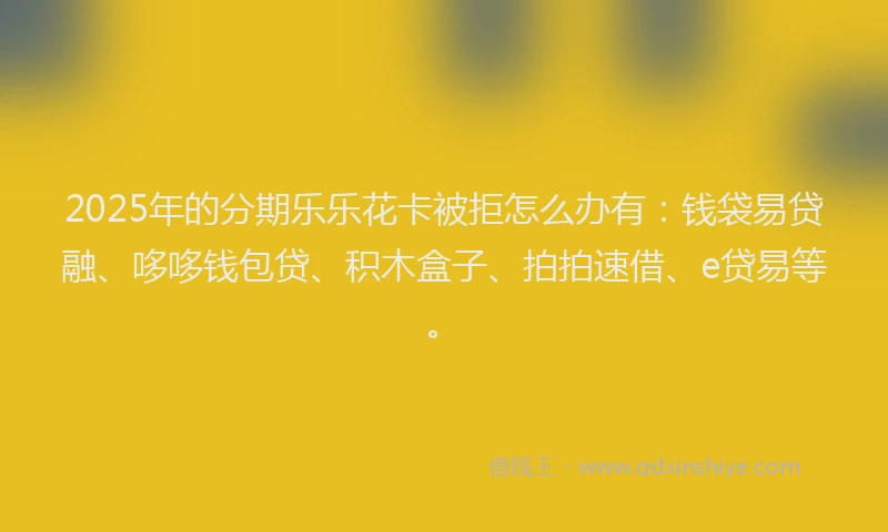2025年的分期乐乐花卡被拒怎么办有：钱袋易贷融、哆哆钱包贷、积木盒子、拍拍速借、e贷易等。