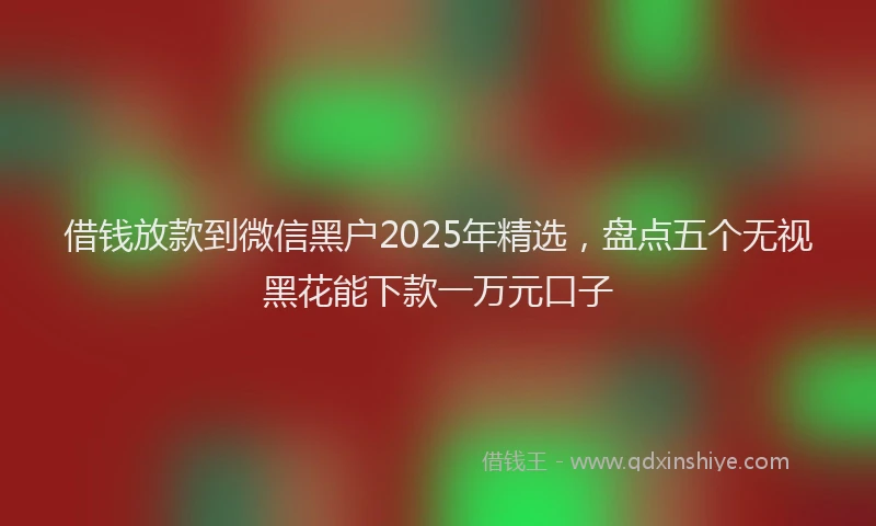 借钱放款到微信黑户2025年精选，盘点五个无视黑花能下款一万元口子