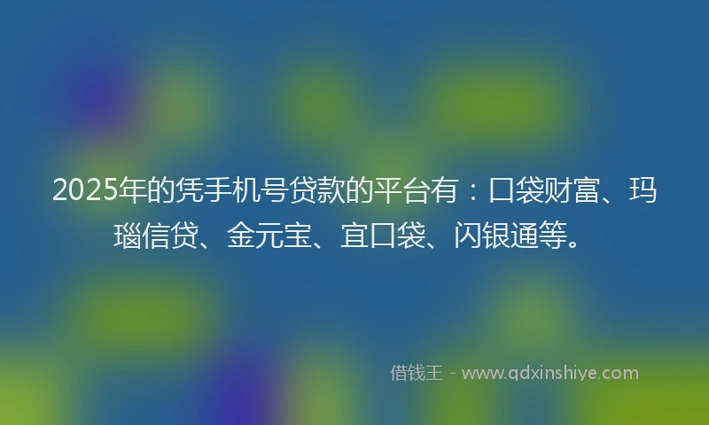 2025年的凭手机号贷款的平台有：口袋财富、玛瑙信贷、金元宝、宜口袋、闪银通等。