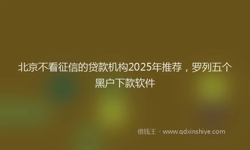 北京不看征信的贷款机构2025年推荐，罗列五个黑户下款软件