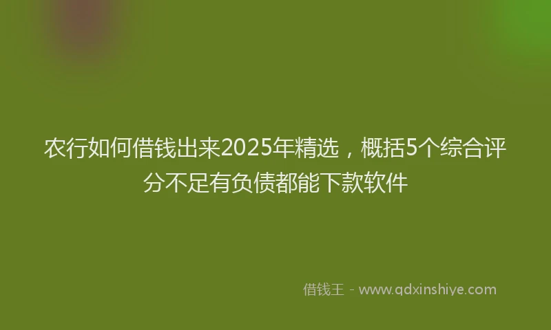 农行如何借钱出来2025年精选，概括5个综合评分不足有负债都能下款软件