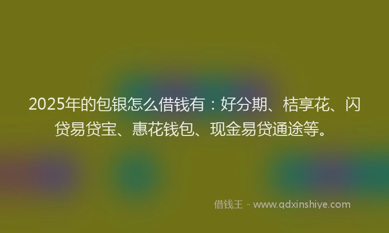 2025年的包银怎么借钱有：好分期、桔享花、闪贷易贷宝、惠花钱包、现金易贷通途等。