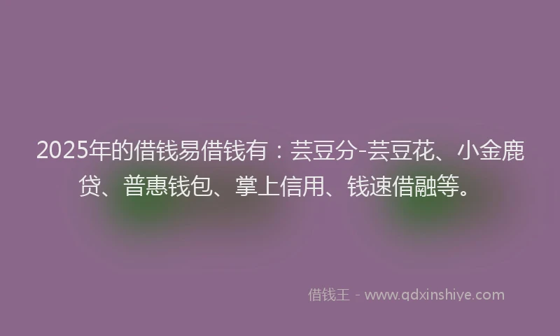 2025年的借钱易借钱有：芸豆分-芸豆花、小金鹿贷、普惠钱包、掌上信用、钱速借融等。