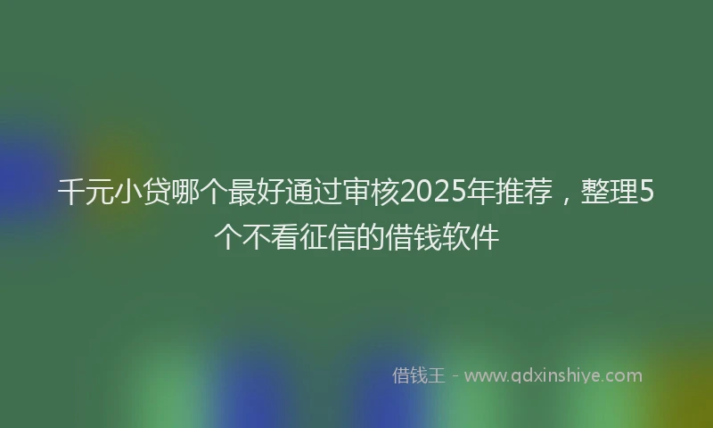 千元小贷哪个最好通过审核2025年推荐，整理5个不看征信的借钱软件