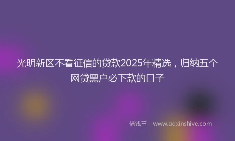 光明新区不看征信的贷款2025年精选，归纳五个网贷黑户必下款的口子