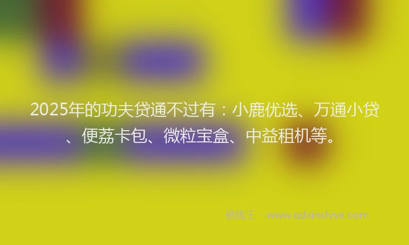 2025年的功夫贷通不过有：小鹿优选、万通小贷、便荔卡包、微粒宝盒、中益租机等。