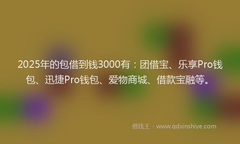 2025年的包借到钱3000有：团借宝、乐享Pro钱包、迅捷Pro钱包、爱物商城、借款宝融等。